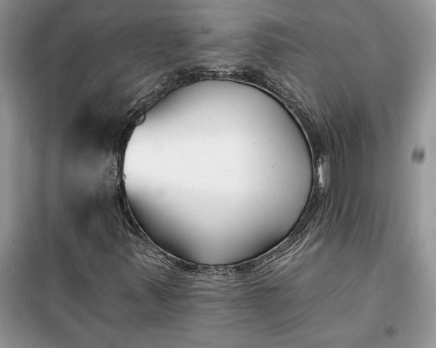 X0000099521347200805291202