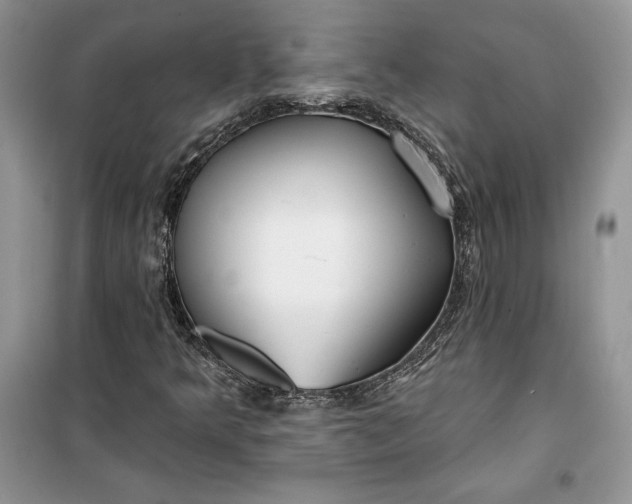 X0000099521349200805291202