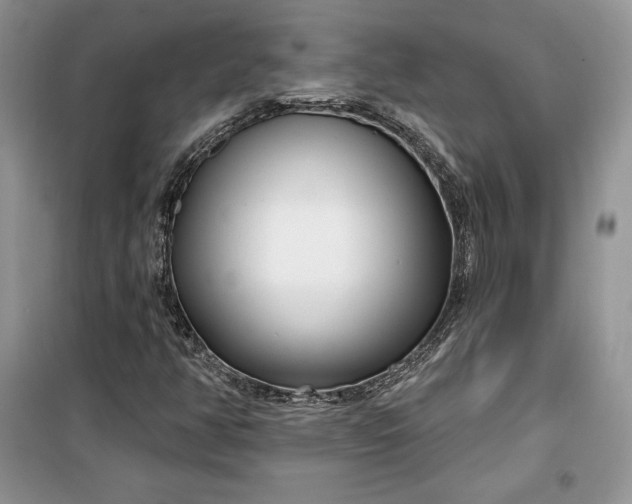 X0000099521350200805291202