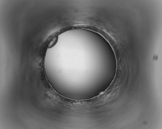 X0000099521351200805291202