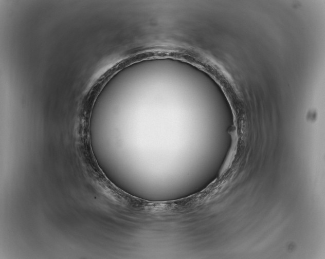 X0000099521352200805291202