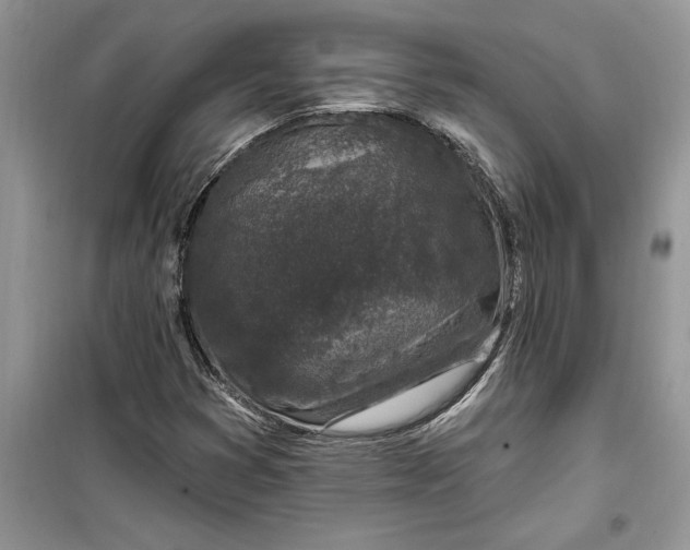 X0000099521353200805291202