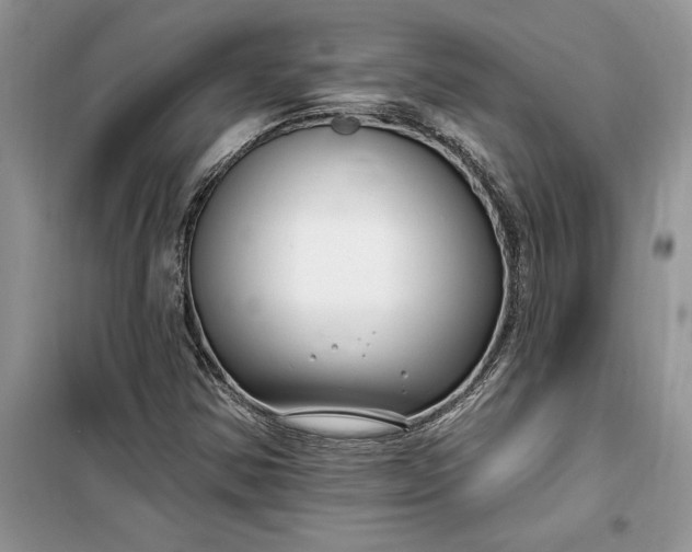 X0000099521354200805291202