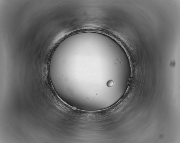 X0000099521355200805291202