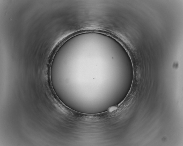 X0000099521356200805291202