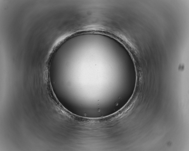 X0000099521358200805291202