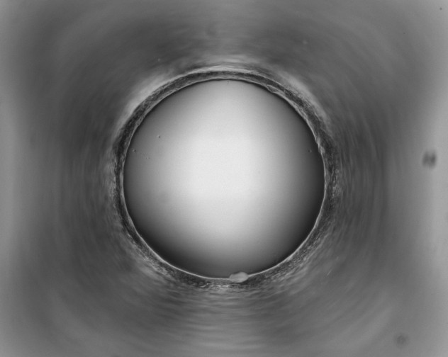 X0000099521360200805291202