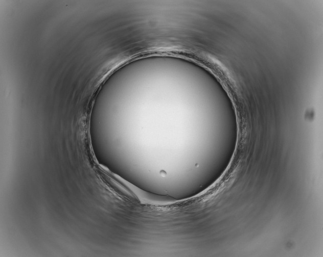 X0000099521361200805291202