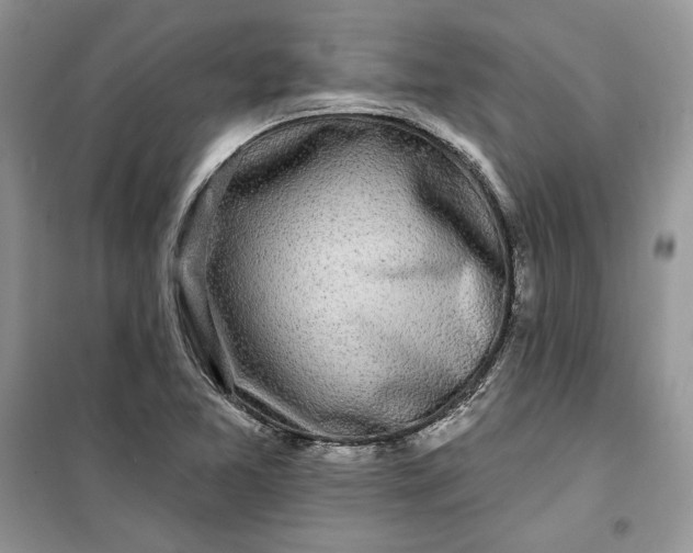 X0000099521365200805291202