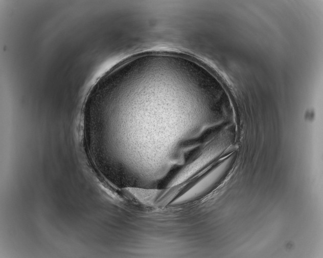 X0000099521367200805291202