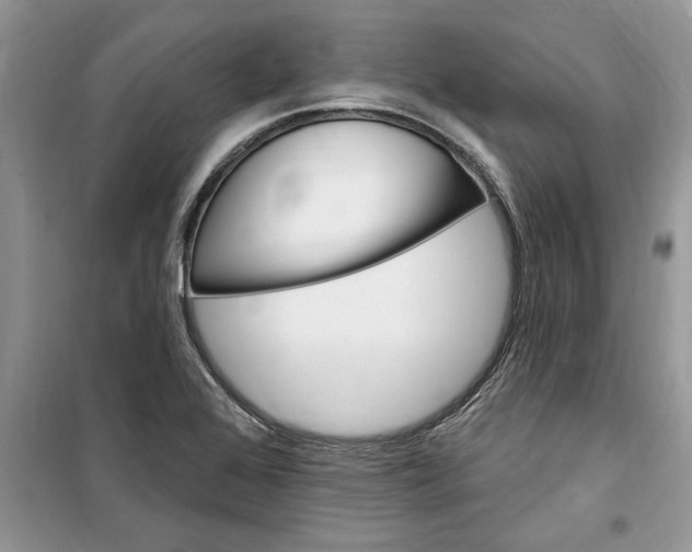 X0000099521368200805291202