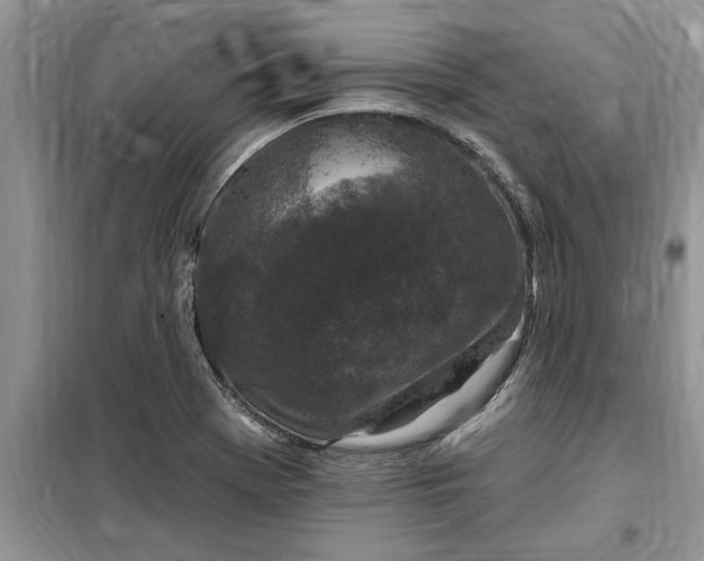 X0000099521369200805291202