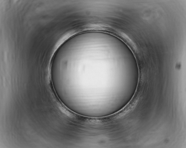 X0000099521370200805291202