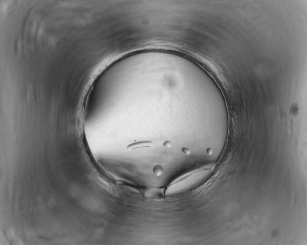 X0000099521371200805291202