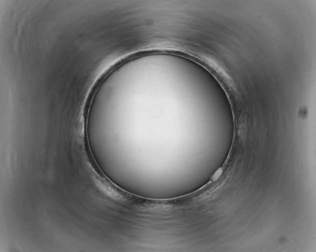 X0000099521372200805291202