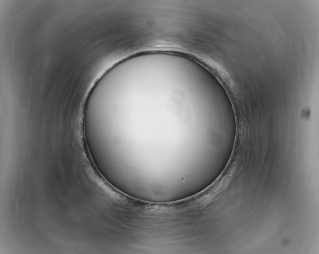 X0000099521374200805291202