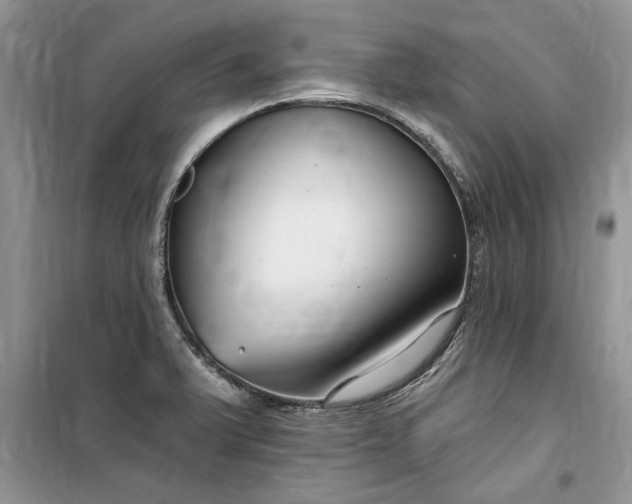 X0000099521375200805291202