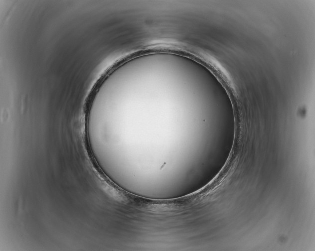 X0000099521376200805291202