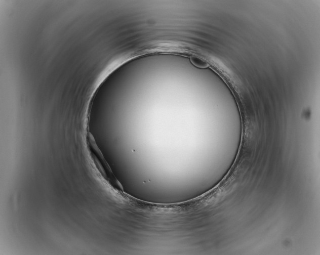 X0000099521378200805291202