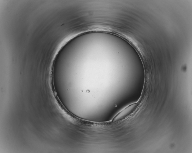 X0000099521379200805291202