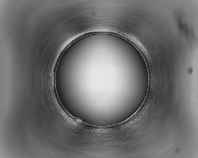 X0000099521380200805291202