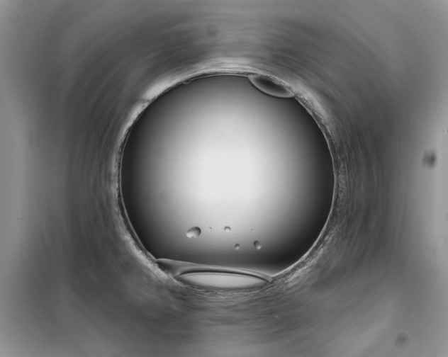 X0000099521382200805291202