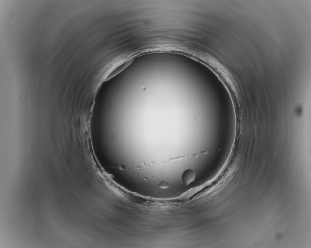 X0000099521385200805291202