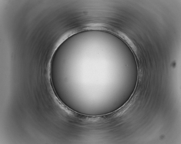 X0000099521386200805291202