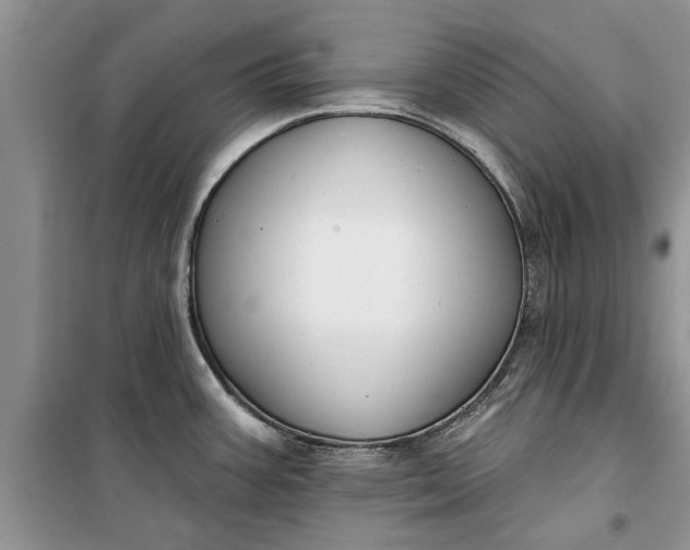 X0000099521387200805291202