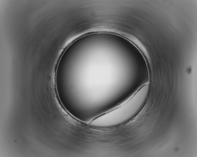 X0000099521388200805291202