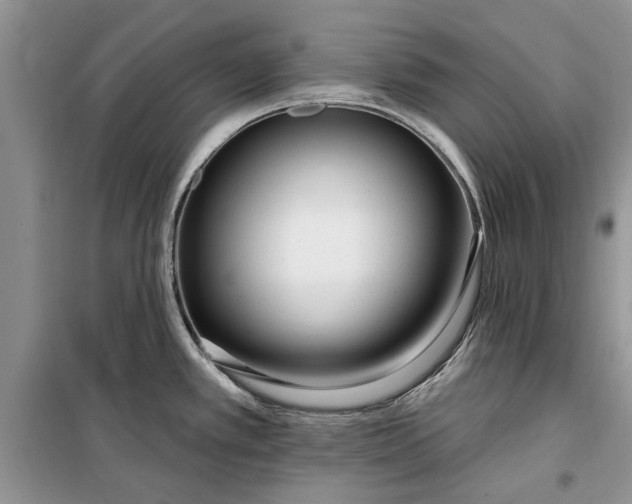 X0000099521389200805291202