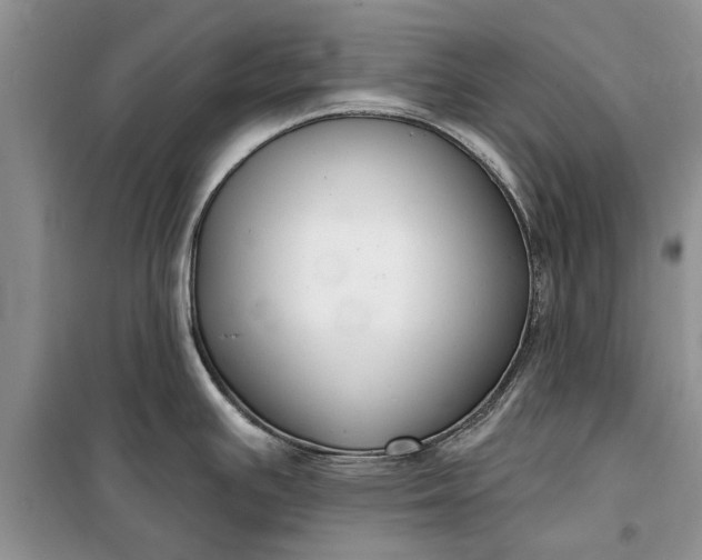 X0000099521391200805291202