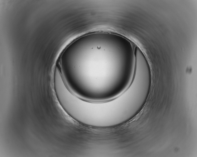 X0000099521392200805291202