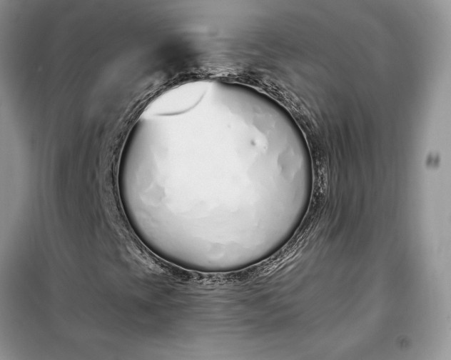 X0000099521393200805291201