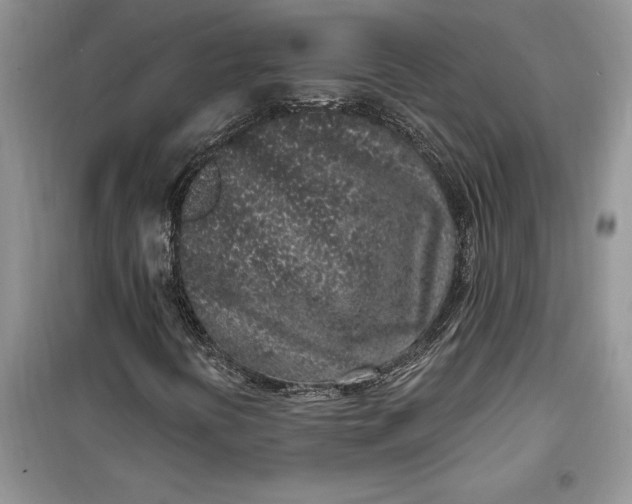 X0000099521394200805291201