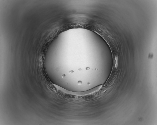 X0000099521395200805291201