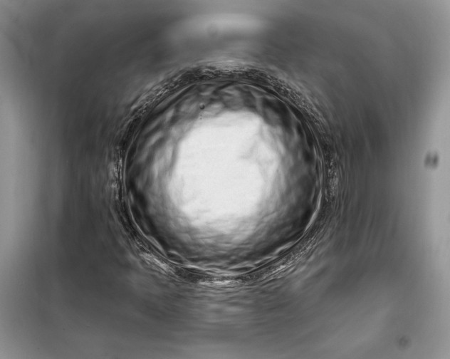 X0000099521397200805291201