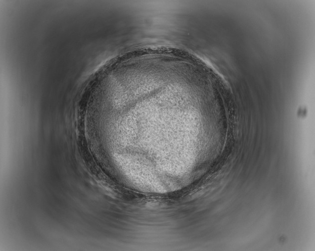 X0000099521399200805291201