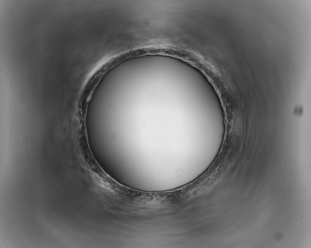 X0000099521400200805291201