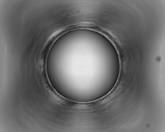 X0000099521402200805291201