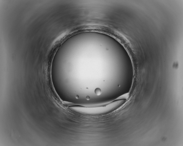 X0000099521403200805291201