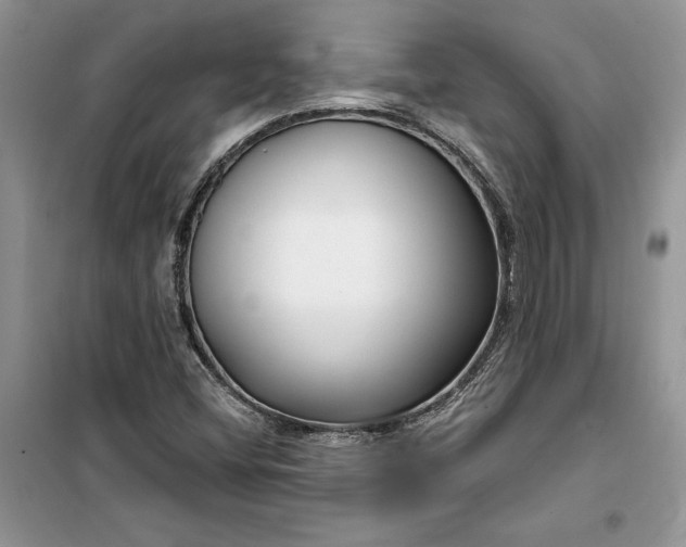 X0000099521404200805291201