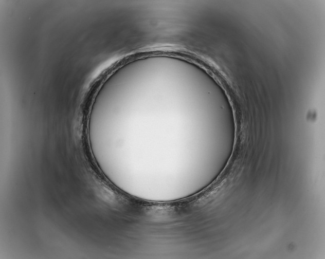 X0000099521406200805291201