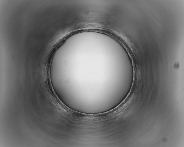 X0000099521407200805291201