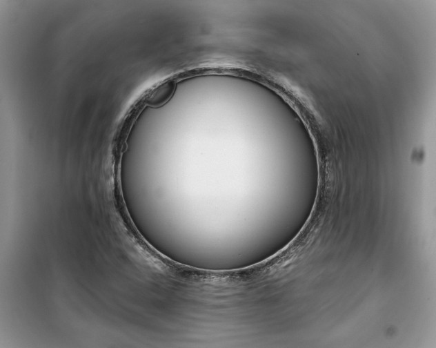 X0000099521408200805291201