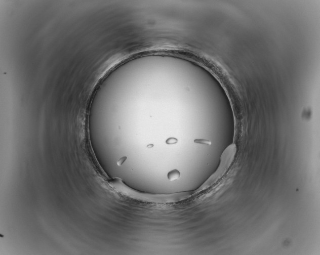 X0000099521409200805291201