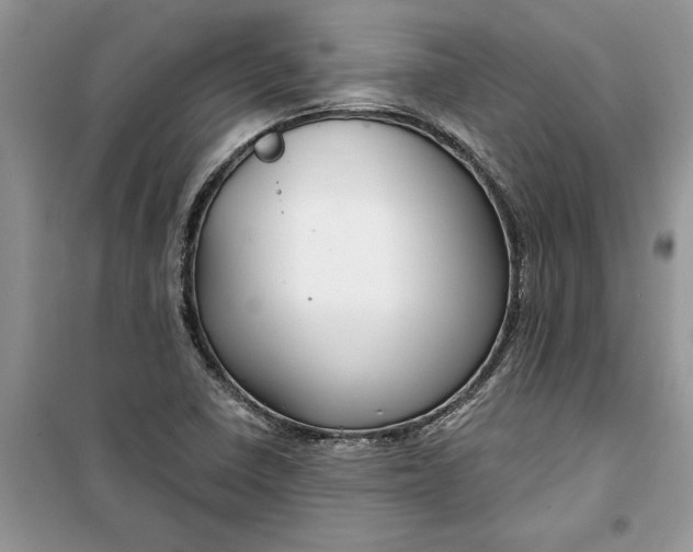 X0000099521410200805291201