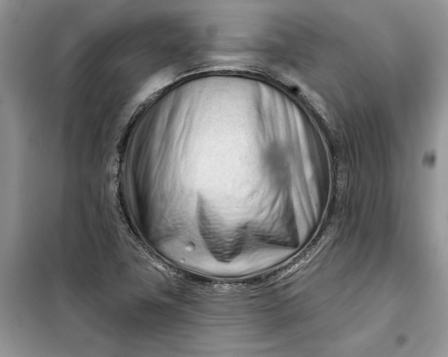 X0000099521411200805291201