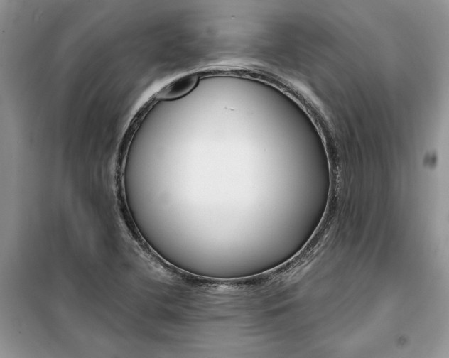 X0000099521412200805291201