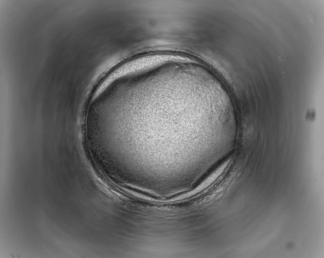 X0000099521413200805291201